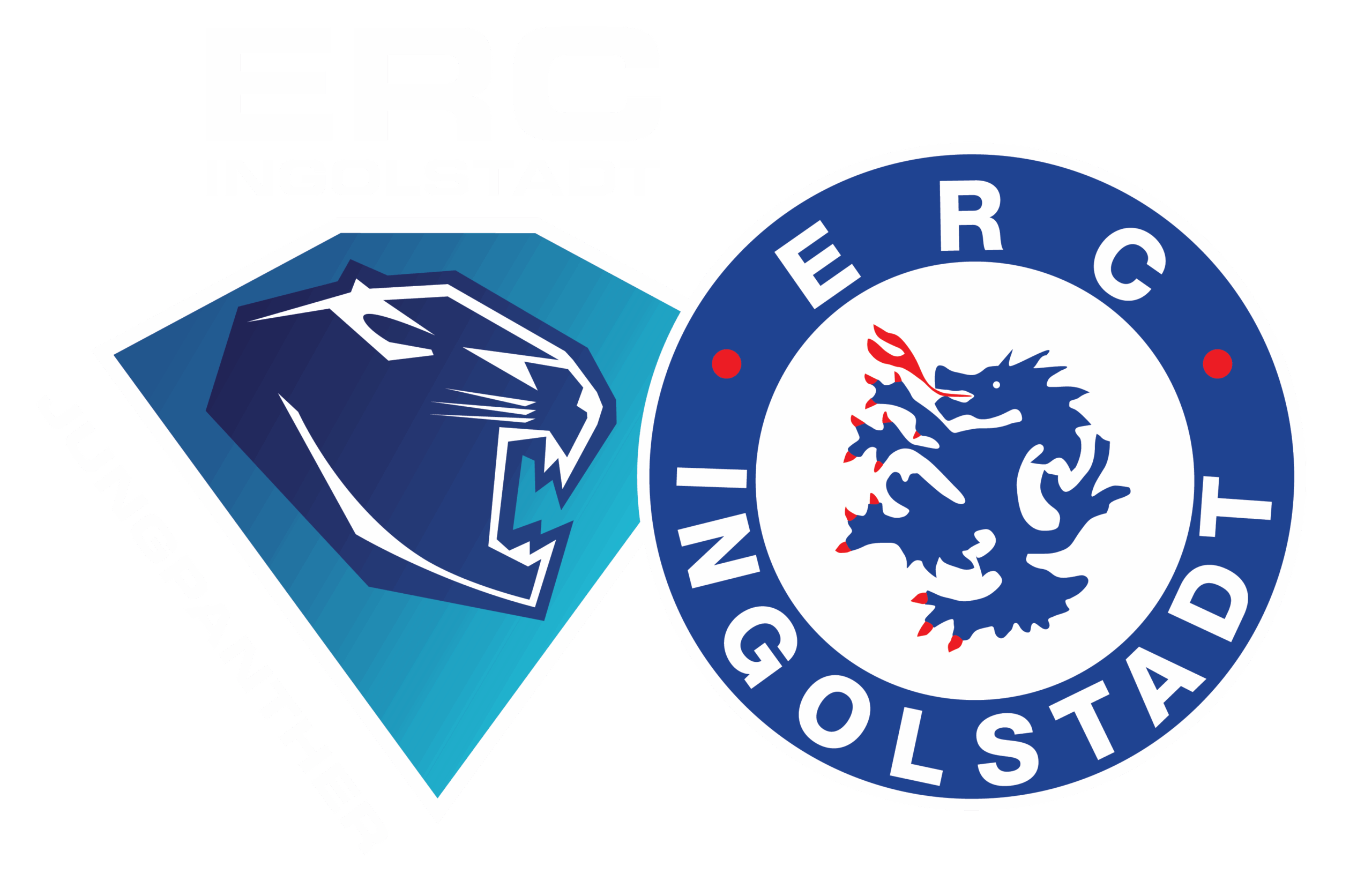 Jungpanther Ingolstadt